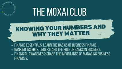 Product image for The MoxAI Co.: Knowing your numbers and why they matter!
