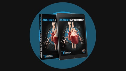 Product image for ANATOMY & PHYSIOLOGY BOOK (PDF)