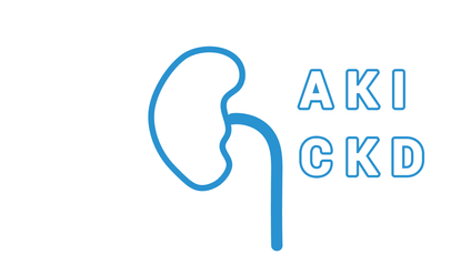 Product image for AKI and CKD in 2023