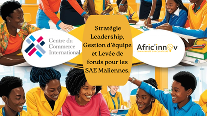 Product image for Stratégie, Leadership et Levée de fonds des SAE - Mali