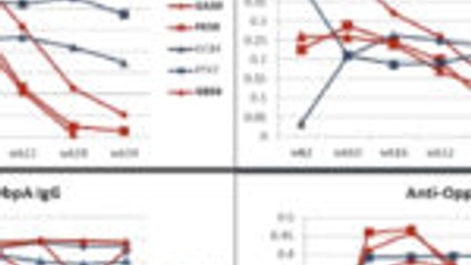 Product image for The impact of immune responses on diagnosis and treatment of Lyme disease