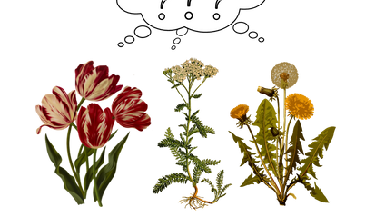 Product image for Perennial Philosophical Questions Resolved
