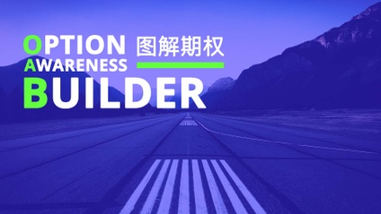 Product image for 图解期权 (Option Awareness Builder)