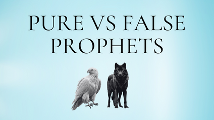 Product image for Pure vs False Prophets - eCourse