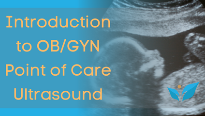 Product image for Introduction to OB/GYN Point of Care Ultrasound