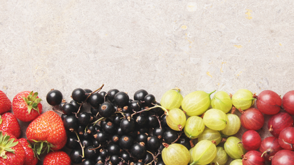 Product image for Wellness Pit Stop