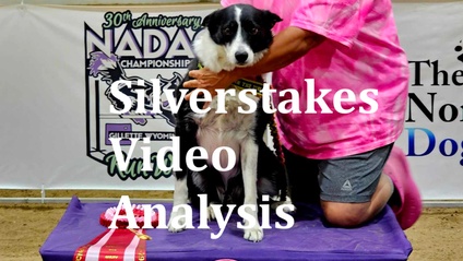 Product image for Inspire's 2024  NADAC Silverstakes Runs Video Analysis