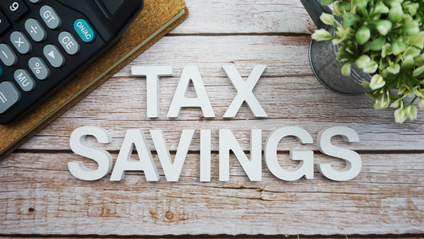Product image for 2025 Tax Savings Guide 