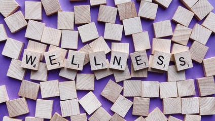 Product image for Wellness Blueprint: Creating Habits for Health and Happiness