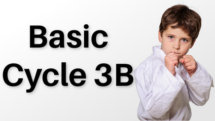 Product image for Basic Cycle 3B