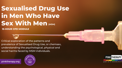 Product image for Sexualised Drug Use in Men who have Sex with Men