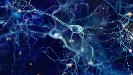 Product image for Biofisica Applicata alle Neuroscienze