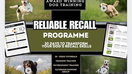 Product image for Reliable Recall 