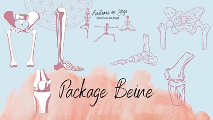 Product image for Beine-Bundle