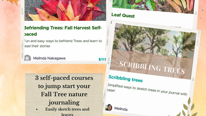 Product image for Falling for Trees