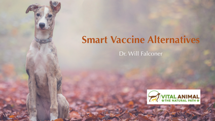 Product image for Smart Vaccine Alternatives Short Course