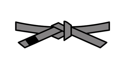 Product image for Portal Kids Grey Belt Test Criteria
