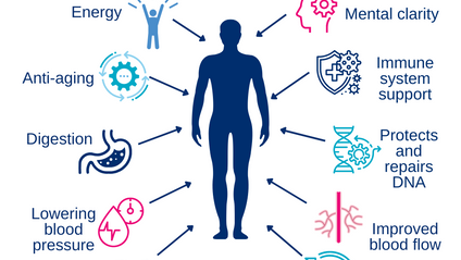 Product image for Nutrition, Supplementation, & How to Optimally Modify our Epigenome