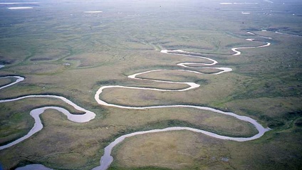 Product image for Return to the Source: The River of Life