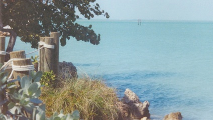 Product image for Relax Your Mind MP3