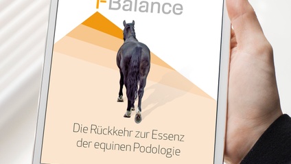 Product image for F-Balance® E-Buch