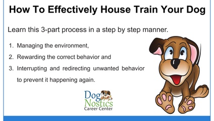 Product image for How To Effectively House Train Your Dog eBook