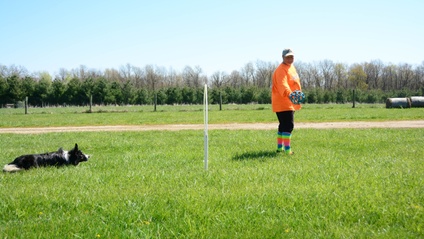 Product image for Successful Start-Lines