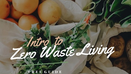 Product image for Ebook: Intro to Zero Waste Living