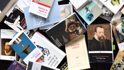 Product image for French Literature: A Reader’s Journey Through The Classics