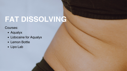 Product image for Fat Dissolving Bundle