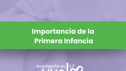 Product image for Importancia de la Primera Infancia 