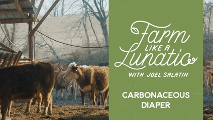 Product image for Carbonaceous Diaper