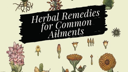 Product image for Ebook: Herbal Remedies for Common Ailments