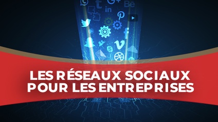 Product image for IGTC01CM - Les réseaux sociaux pour les entreprises (FR)