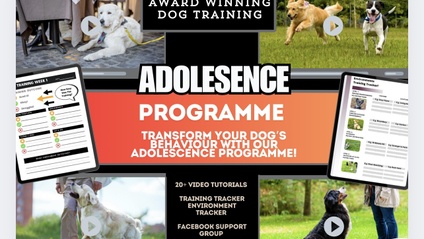 Product image for Adolescence 