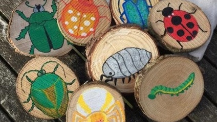 Product image for Forest School Theory