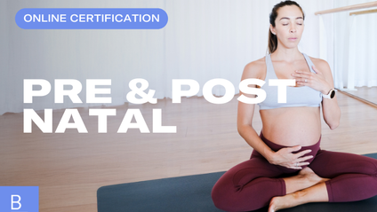 Product image for Pre and Post Natal Training