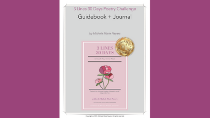 Product image for 3 Lines 30 Days Guidebook + Journal