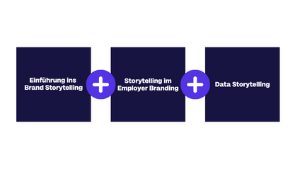 Product image for Bundle: Einführung + Employer Branding + Data Storytelling