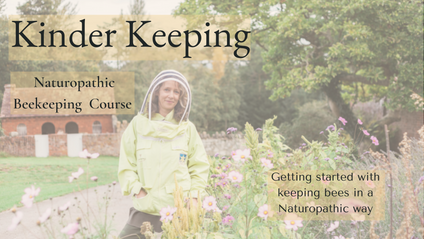 Product image for Naturopathic Beekeeping course