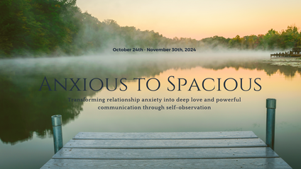 Product image for Anxious to Spacious