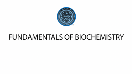 Product image for Fundamentals of Biochemistry- BCHEM101