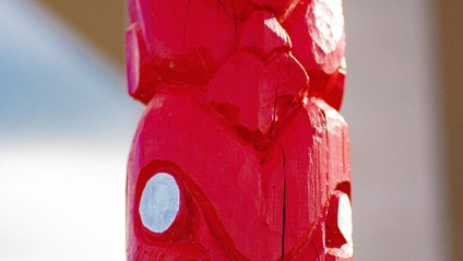 Product image for Participating in Council Processes - A resource for mana whenua