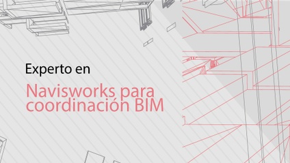 Product image for Experto en Navisworks para Coordinación BIM
