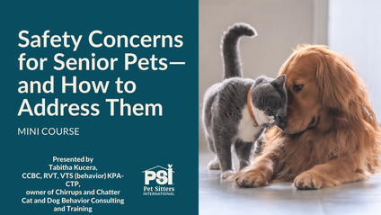 Product image for Mini Course: Safety Concerns for Senior Pets — and How to Address Them