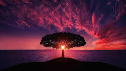 Product image for IGNITE ME COACHING (3 sessions included)