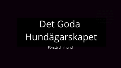 Product image for JAKT 1 - MIN HUND DRAR I KOPPLET