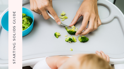 Product image for Starting Solids Guide