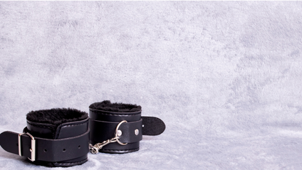 Product image for BDSM Wellness And Trauma Training 