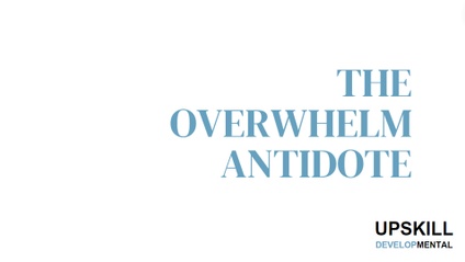 Product image for The Overwhelm Antidote